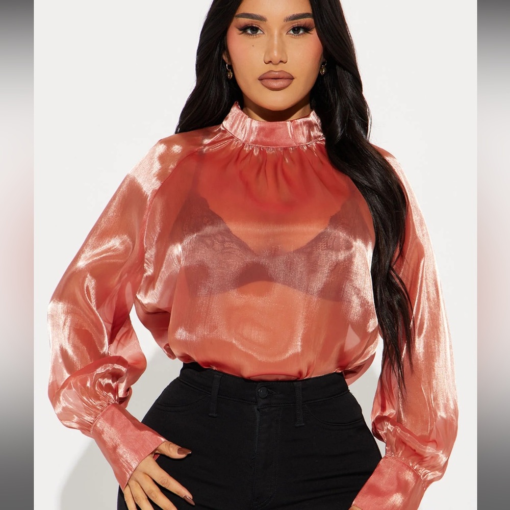 Sheer Blouse